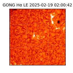gong - 2025-02-19T02:00:42