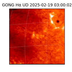 gong - 2025-02-19T03:00:02