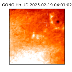 gong - 2025-02-19T04:01:02