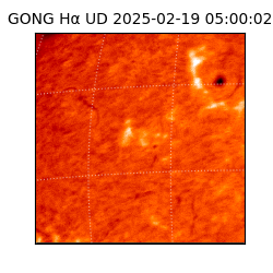 gong - 2025-02-19T05:00:02