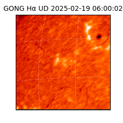 gong - 2025-02-19T06:00:02