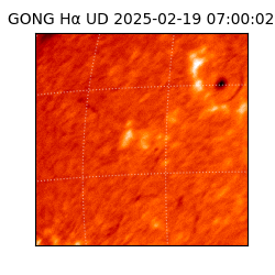 gong - 2025-02-19T07:00:02