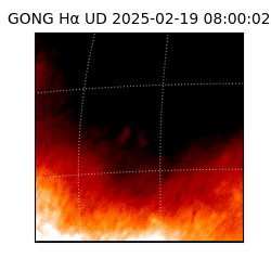 gong - 2025-02-19T08:00:02