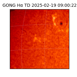 gong - 2025-02-19T09:00:22