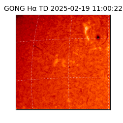 gong - 2025-02-19T11:00:22
