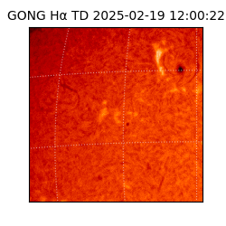 gong - 2025-02-19T12:00:22