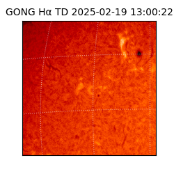 gong - 2025-02-19T13:00:22