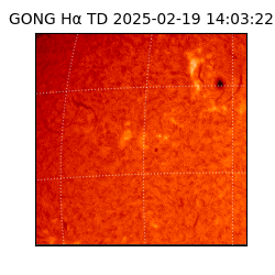 gong - 2025-02-19T14:03:22