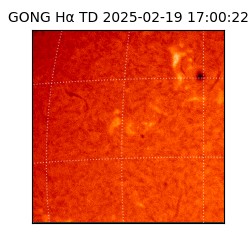 gong - 2025-02-19T17:00:22