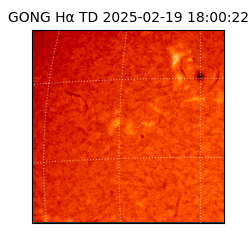 gong - 2025-02-19T18:00:22