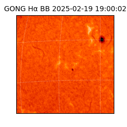 gong - 2025-02-19T19:00:02
