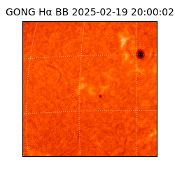 gong - 2025-02-19T20:00:02