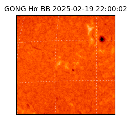 gong - 2025-02-19T22:00:02