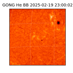 gong - 2025-02-19T23:00:02