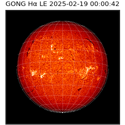 gong - 2025-02-19T00:00:42