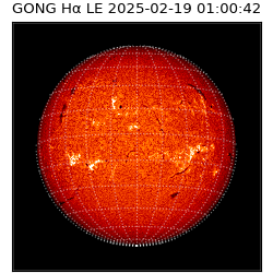 gong - 2025-02-19T01:00:42