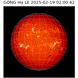 gong - 2025-02-19T02:00:42