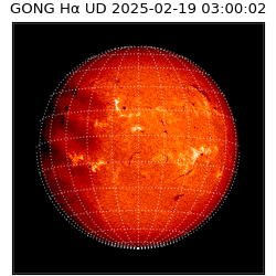 gong - 2025-02-19T03:00:02