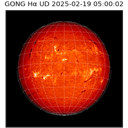 gong - 2025-02-19T05:00:02
