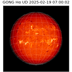 gong - 2025-02-19T07:00:02