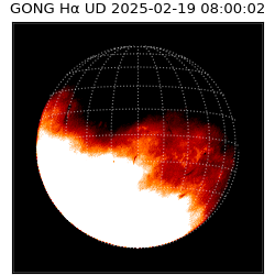 gong - 2025-02-19T08:00:02