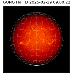 gong - 2025-02-19T09:00:22