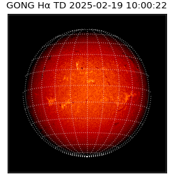 gong - 2025-02-19T10:00:22