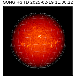 gong - 2025-02-19T11:00:22