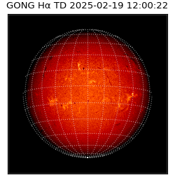 gong - 2025-02-19T12:00:22