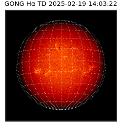 gong - 2025-02-19T14:03:22