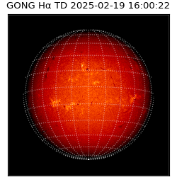gong - 2025-02-19T16:00:22