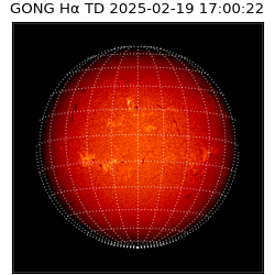 gong - 2025-02-19T17:00:22