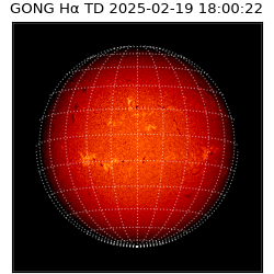 gong - 2025-02-19T18:00:22