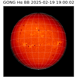 gong - 2025-02-19T19:00:02