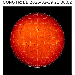 gong - 2025-02-19T21:00:02