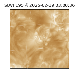 suvi - 2025-02-19T03:00:36.933000