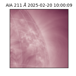 saia - 2025-02-20T10:00:09.629000