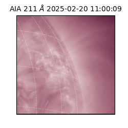saia - 2025-02-20T11:00:09.630000