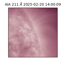saia - 2025-02-20T14:00:09.623000