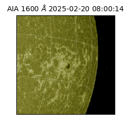 saia - 2025-02-20T08:00:14.125000