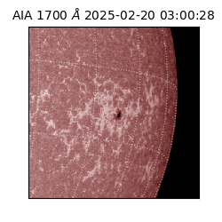 saia - 2025-02-20T03:00:28.717000