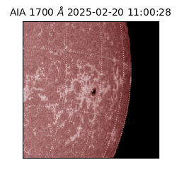 saia - 2025-02-20T11:00:28.717000