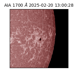 saia - 2025-02-20T13:00:28.717000