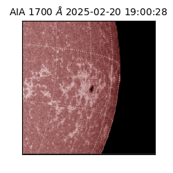 saia - 2025-02-20T19:00:28.717000