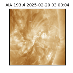 saia - 2025-02-20T03:00:04.843000