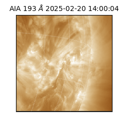 saia - 2025-02-20T14:00:04.843000