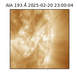 saia - 2025-02-20T23:00:04.843000