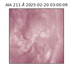 saia - 2025-02-20T03:00:09.625000