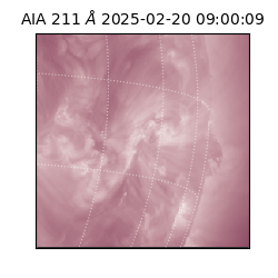 saia - 2025-02-20T09:00:09.630000