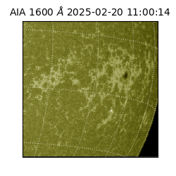 saia - 2025-02-20T11:00:14.125000